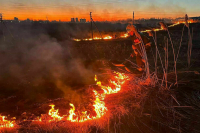В Татарстане сгорели дом и сарай из-за природных пожаров