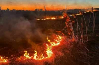 В Татарстане сгорели дом и сарай из-за природных пожаров