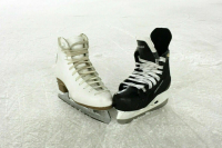 Полномочия главы Федерации фигурного катания на коньках переданы Сихарулидзе