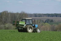 Фермерам хотят предоставлять земли под защитными лесополосами