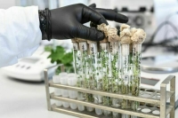 Селекционеры могут получить право на налоговые льготы