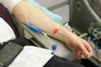 Депутаты сдали кровь прямо у центрального входа в Госдуму