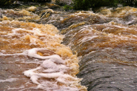 В Белгородской области водоемы покраснели из-за пестицидов