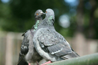 Воскресенье стало самым теплым днем в Москве с начала года