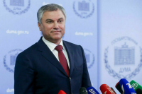 Володин проводит опрос о необходимости законодательного ограничения дистанта в школах