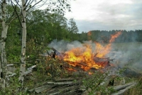 В МЧС разъяснили обновленные правила сжигания сухой листвы