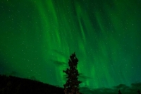 Физик предсказал повторение полярного сияния в Москве