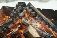 Несовершеннолетним запретили разжигать костры и мангалы