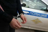 Полиция вменяет мелкое хулиганство мужчине, оскорбившему ребенка с буквой Z на шапке