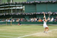 Несколько россиян подписали декларации для участия в Уимблдоне