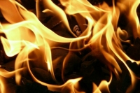 Пожары в поселках Сосьва и Таежный Свердловской области локализованы