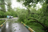 В Москве ввели «желтый» уровень погодной опасности