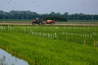 Минсельхоз предложит обновить закон о мелиорации земель