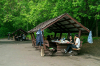 Шашлык из говядины подорожал за год на 6,3%