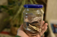 У россиян может появиться новый вид заработка