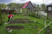 Чаплин рассказал о нововведениях 2023 года для дачников
