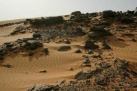 Саудовская Аравия эвакуировала из Судана около 40 россиян