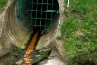 Нормативы на сточные воды предприятий скорректируют