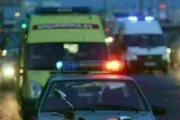 В Петербурге женщина пыталась похоронить ребенка живьем