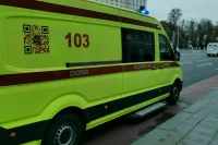 В Иркутской области мужчина погиб в результате нападения собак