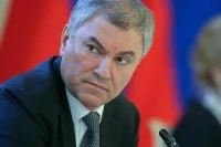 Володин объявил благодарность участникам делегации на саммите ПАЧЭС 