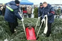 В Гатчине нашли захоронения граждан времен Великой Отечественной войны