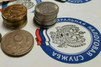 Семьи с двумя и более детьми не будут платить НДФЛ после продажи земли