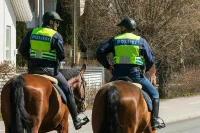 Финская полиция расследует нападение на российское консульство