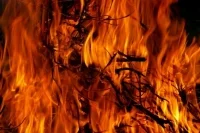 В Тюменской области объявили максимальный класс пожарной опасности