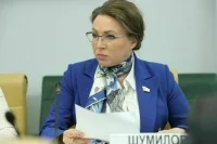 Шумилова предложила кабмину изменить методику расчета поставок дров людям