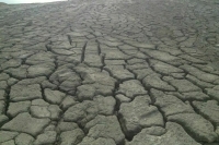 Эксперт предупредил об опасности опустынивания в России 50 миллионов гектаров