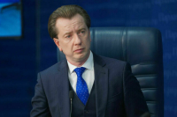 Бурматов прокомментировал нападение собаки на мальчика под Нижним Тагилом