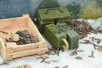 Принимать и хранить изъятое оружие будет МВД