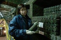 Алкоголь, табак и санкционку пометят электронными навигационными пломбами