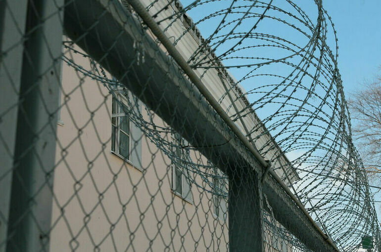 Житель Москвы получил 9,5 года за покушение на госизмену