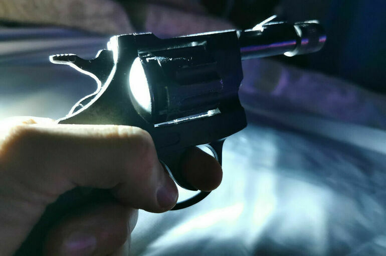 Совфед одобрил закон об обороте оружия в новых регионах