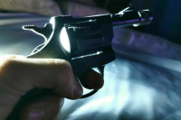 Совфед одобрил закон об обороте оружия в новых регионах