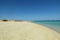 СМИ: В Хургаде закроют все пляжи после нападения акулы на россиянина