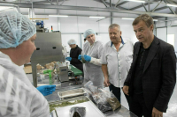 Лесные богатства в Красноярском крае требуют новых подходов