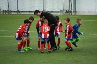 В Совфеде просят не оставлять тренеров спортшкол без статуса педработников