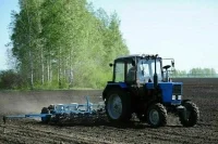 Фермеров хотят заставить заботиться о лесополосах