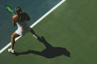 Спортивные федерации смогут получать информацию о ставках тренеров и судей