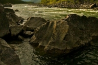 В Сочи три реки вернулись в русло