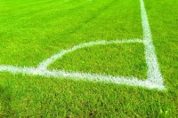 Ставки тренеров и судей перестанут быть тайной для спортивных федераций