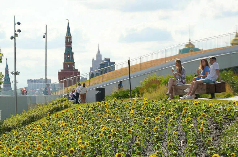 Москвичам рассказали, какая будет погода в начале следующей недели