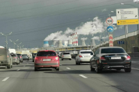 На МКАД автомобиль насмерть сбил двух лосей