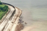 В Николаевской области в пресной воде обнаружен возбудитель холеры