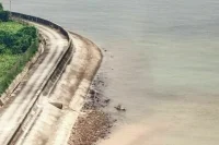 В Николаевской области в пресной воде обнаружен возбудитель холеры