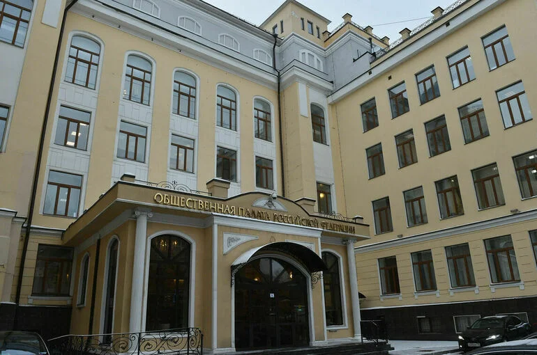 Новая пионерия, поправки в Конституцию и пандемия: чем занимался седьмой состав Общественной палаты