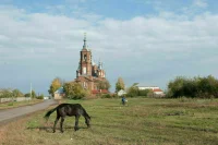Минсельхоз предложил запретить содержать лошадей вместе с птицами